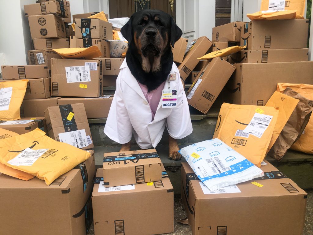 UMSOM student Caroline Benzel and her dog, Loki, have distributed more than 7,000 Dogtor Loki’s Hero Healing Kits to Maryland hospitals, police departments (including the UMB Police Department), and fire stations. Photo courtesy of Caroline Benzel
