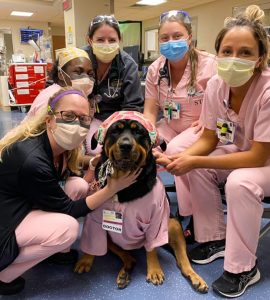 The University of Maryland Medical Center staff get a visit from therapy dog Loki. Photo courtesy of Caroline Benzel