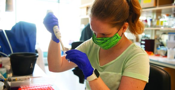 UMB researchers played key roles throughout the COVID-19 pandemic, conducting research, clinical trials, and large-scale testing.