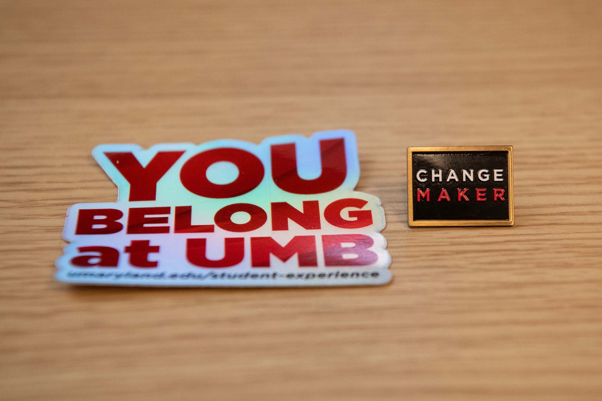 The “You Belong” sticker and the “Change Maker” pin.